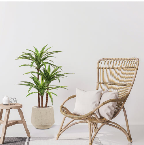 Maxifleur Draceana Massangeana kunstplant Deluxe 95cm