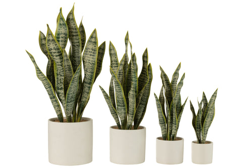 J-Line plant Sansevieria In Pot - kunststof - groen - extra large - vtwonen shop