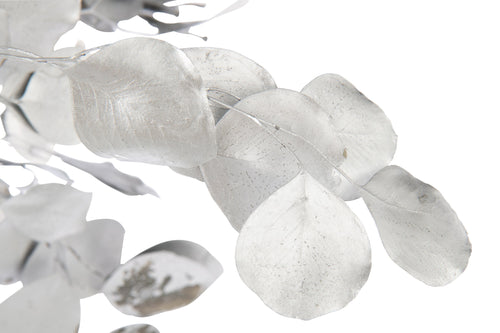 J-Line droogbloemen Eucalyptus - riet - zilver