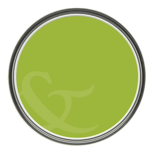 Graham & Brown Vivo - Matte Muurverf Afneembaar - 4L - vtwonen shop