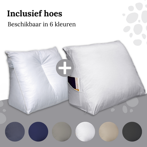 Ten Cate leeskussen - inclusief kussensloop - wit - vtwonen shop