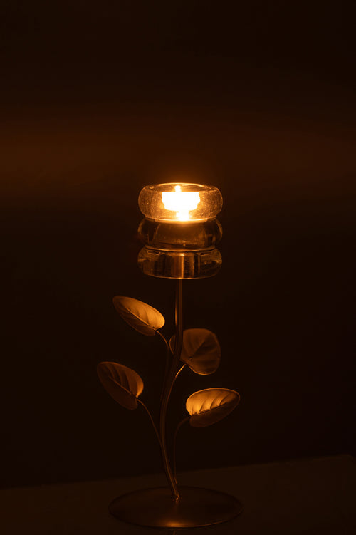 J-Line kaarshouder Tak En Blad - ijzer - goud/transparant - vtwonen shop