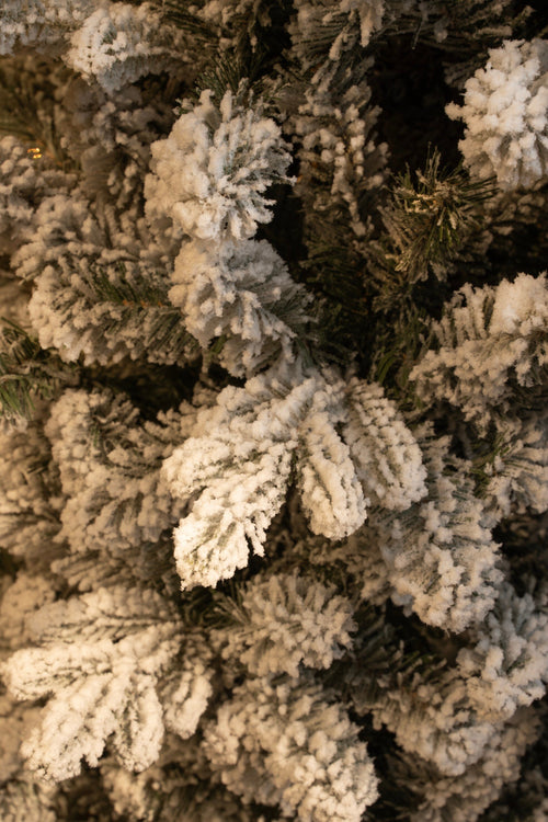 Black Box Trees Harma Smalle Kunstkerstboom - Kerstboom H260 x Ø73 cm - Groen Frosted