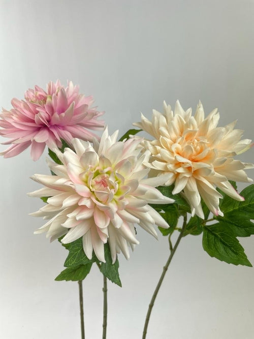 My Flowers.shop Gemengde kleuren dahlia zijden bloem | Lengte 67 centimeter | Per stuk - vtwonen shop