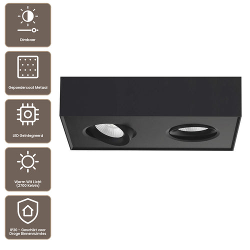 Artdelight Plafondlamp Brooklyn 2L - Zwart