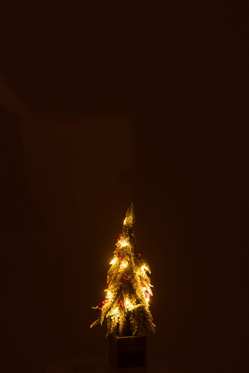 J-Line decoratie kerstboom Sneeuw - kunststof - groen/rood - small - LED lichtjes - vtwonen shop