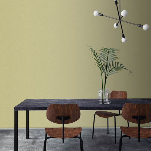 Graham & Brown Humid - Matte Muurverf - 4L - vtwonen shop