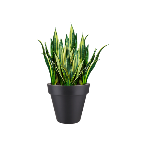 elho pure round 40 antra | Bloempot | Tijdloos