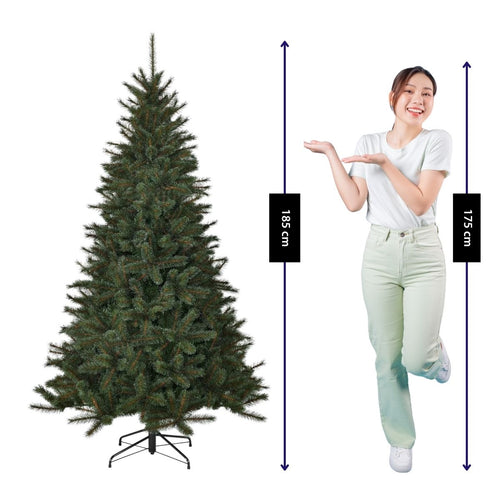 Black Box Trees Toronto Kerstboom - Kunstboom met Scharnierconstructie voor Snel en Eenvoudig Opzetten - Kerstversiering met Wit Bevroren Effect -