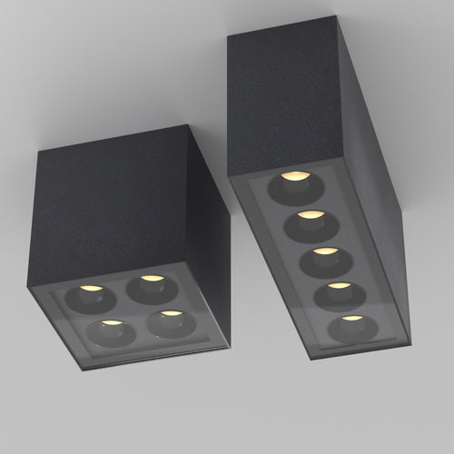 Maytoni Outdoor - Plafondlamp Ares - Grafiet - vtwonen shop