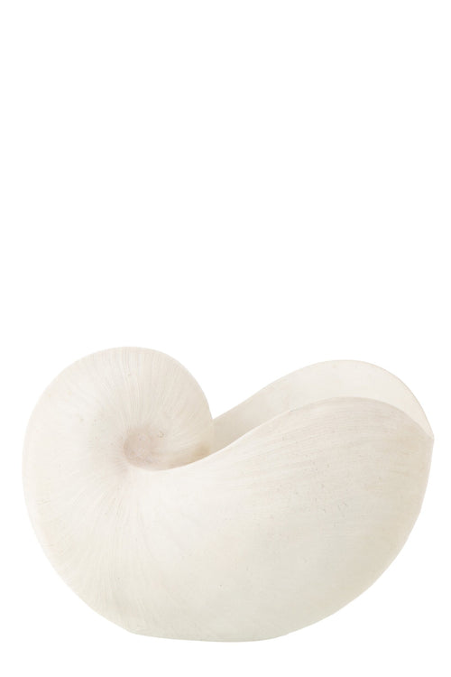 J-Line decoratie Schelp - polyresin - wit