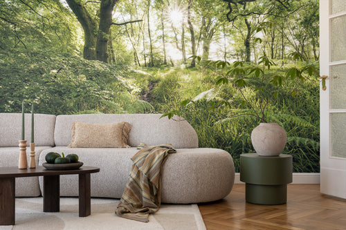Sanders & Sanders fotobehang bosrijk landschap groen - 400 x 250 cm - 612534