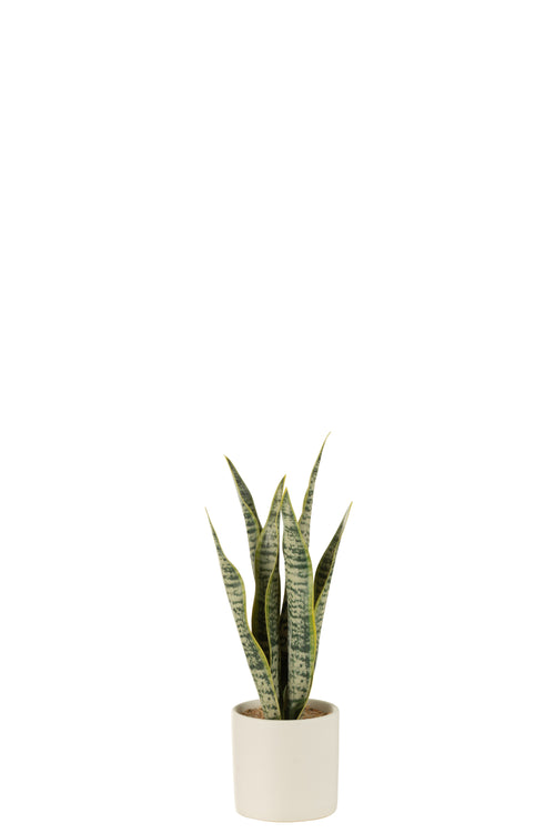 J-Line plant Sansevieria in pot - kunststof - groen - small - vtwonen shop