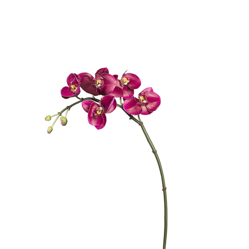 Sia Deco Orchidee Phalaenopsis Steel Kunstmatig - fuchsia - H42 - vtwonen shop