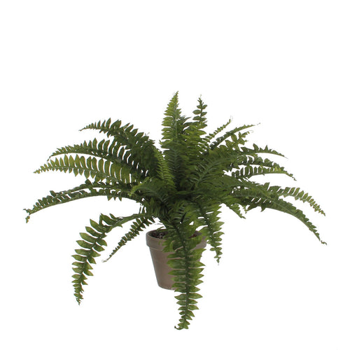 Mica Decorations Varen Kunstplant in Bloempot Stan - H40 x Ø70 cm - Groen