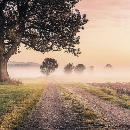 Sanders & Sanders fotobehang bomen groen, grijs en zacht roze - 400 x 250 cm - 612528