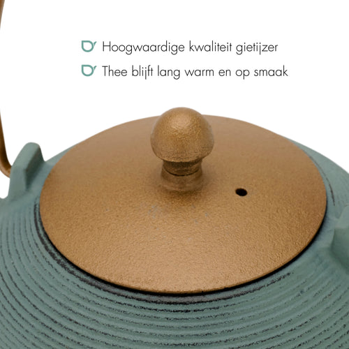 Bredemeijer - Theepot Sakura 1,2L gietijzer blauw