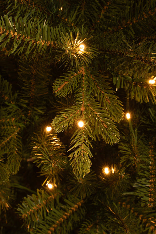 Black Box Trees Harma Pilar kerstboom led groen warm wit 240L TIPS 861 en timer & dimmer - h215xd66cm