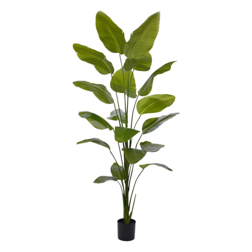 Maxifleur Strelitzia Nicolai kunstplant 225cm