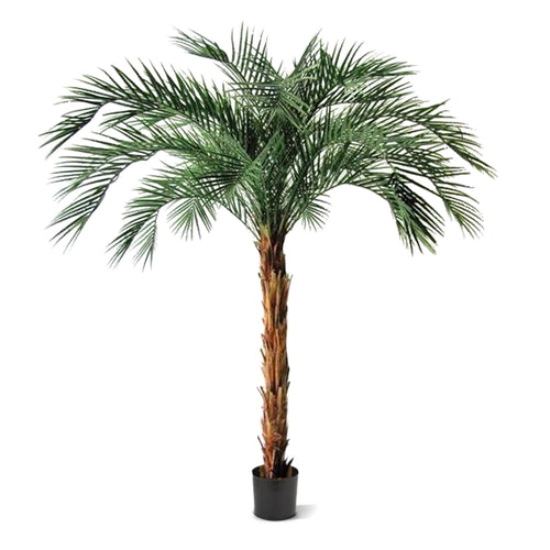 Maxifleur Phoenix kunstpalm OD deluxe 225cm