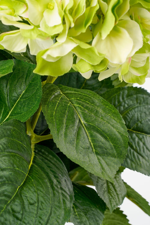 Mica Decorations Hortensia Kunstplant in Bloempot Stan - H45 x Ø45 cm - Groen - vtwonen shop