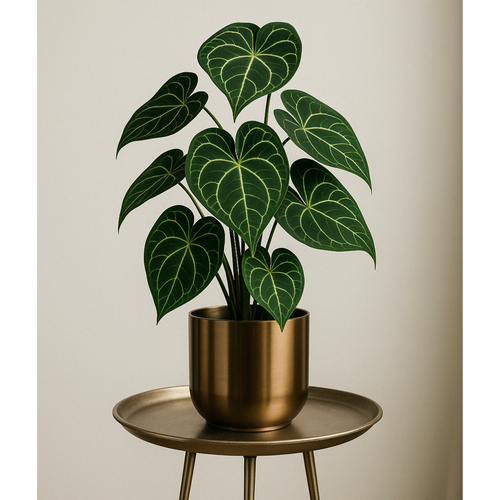 Flourify kunstplant - Anthurium - 37 cm - vtwonen shop