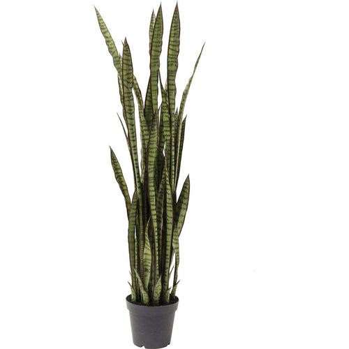 Kare Design Kunstplanten - Sansevieria - 155cm