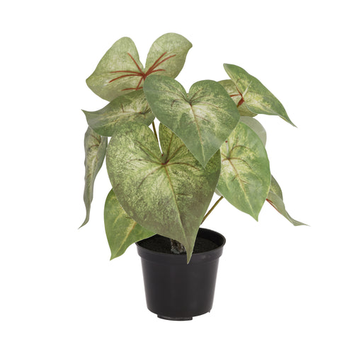 Maxifleur Syngonium Podophyllum kunstplant 28cm in kweekpot