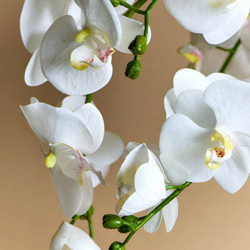 Sia Deco Orchidee Compositie Kunstmatig - wit - H86 - vtwonen shop