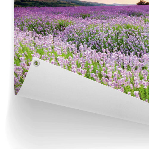 Reinders tuinposter Lavendelveld - 60x80cm