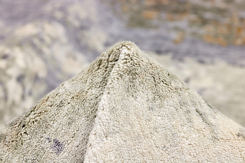 Vloerkleed MOMO Rugs Attraction No. 1 170x240 cm