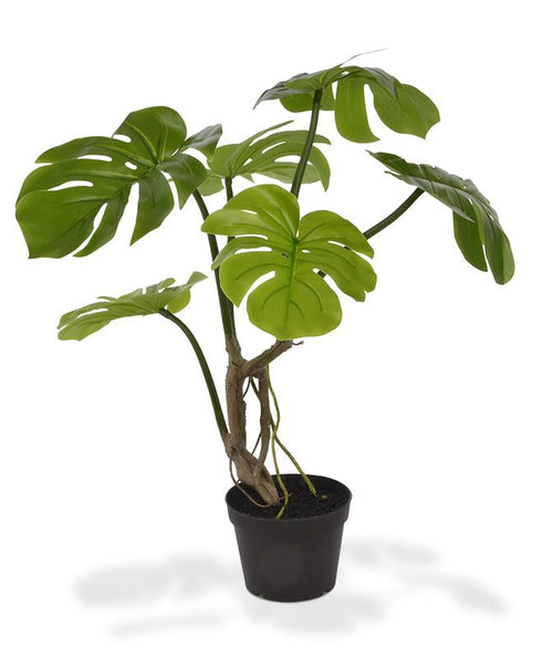 Maxifleur Monstera kunstplant 50cm
