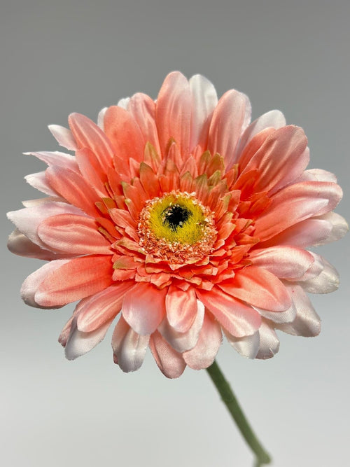 My Flowers.shop Zalmkleurige gerbera zijden bloem | Lengte 63 centimeter | Per stuk - vtwonen shop