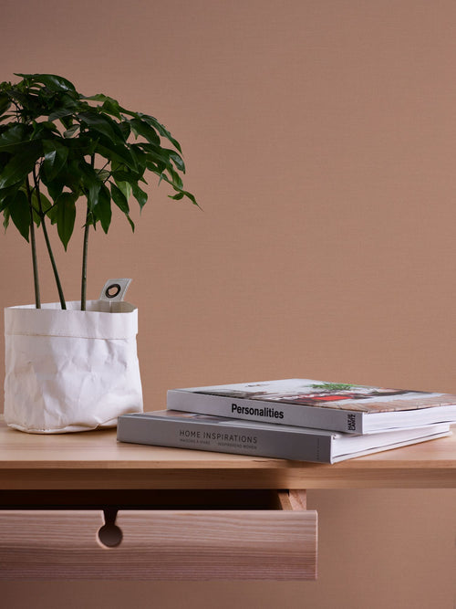 Livingwalls behang effen bruin en beige - 53 cm x 10.05 m - AS-390972
