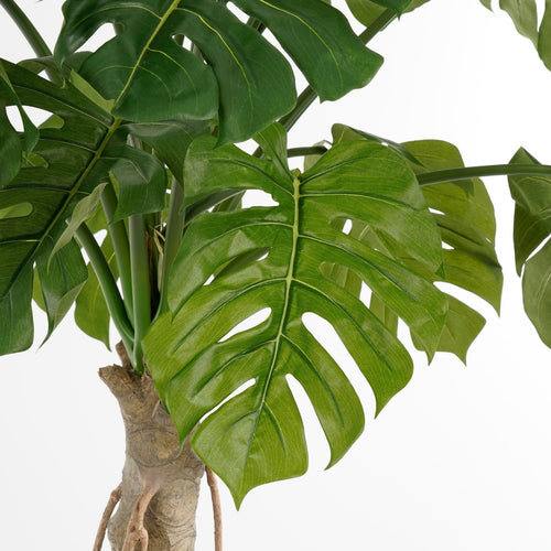 Mica Decorations Monstera Kunstplant - H135 x Ø100 cm - Groen