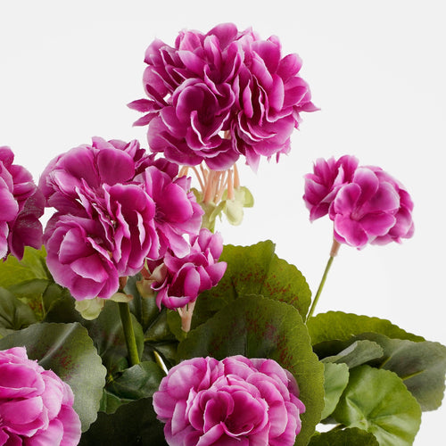 Mica Decorations Geranium Kunstplant in Balkonbak - L29 x B13 x H40 cm - Paars