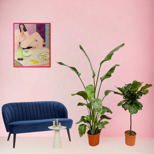 Trendyplants - Strelitzia Nicolai - 180 cm - Ø27cm + Ficus Lyrata stam - 130 cm - Ø24cm - vtwonen shop