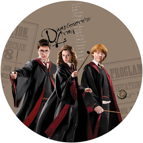 Sanders & Sanders zelfklevende behangcirkel Harry Potter, Hermelien Griffel & Ron Wemel meerkleurig Ø 70 cm 601294