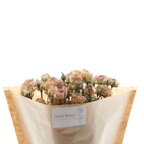 My Flowers.shop Tien gedroogde wit-roze trosrozen | Lengte 50 centimeter | Per bos te bestellen - vtwonen shop