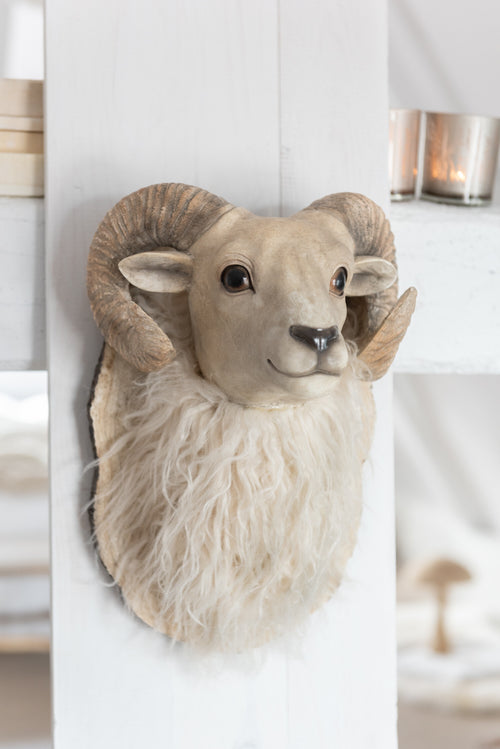 J-Line wanddecoratie Geit Kop Hangend - polyresin - beige - small