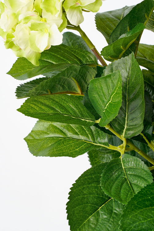 Mica Decorations Hortensia Kunstplant in Bloempot Stan - H45 x Ø45 cm - Groen - vtwonen shop