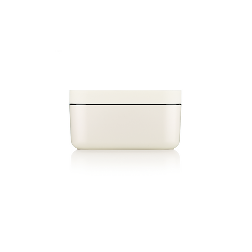 Lékué IJsblokjesvorm met bewaardoos