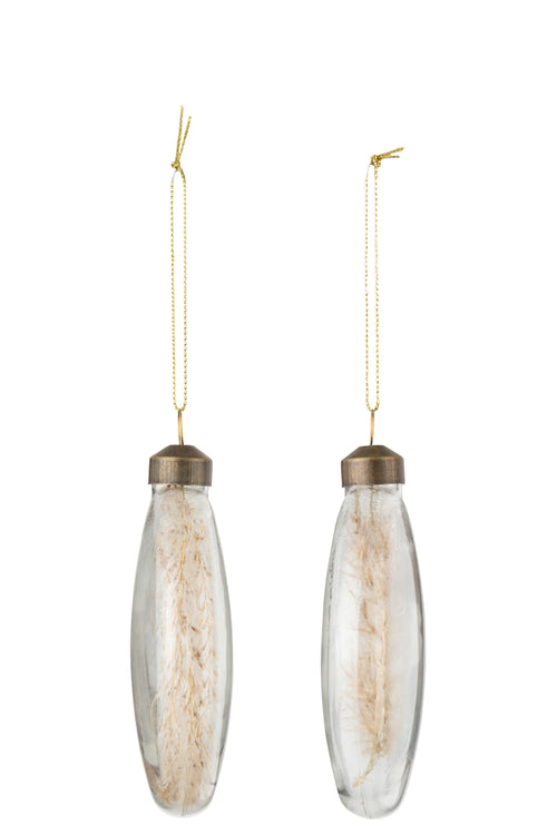 J-Line kerstbal Gedroogde Pampas - glas - transparant - medium - doos van 4 - vtwonen shop