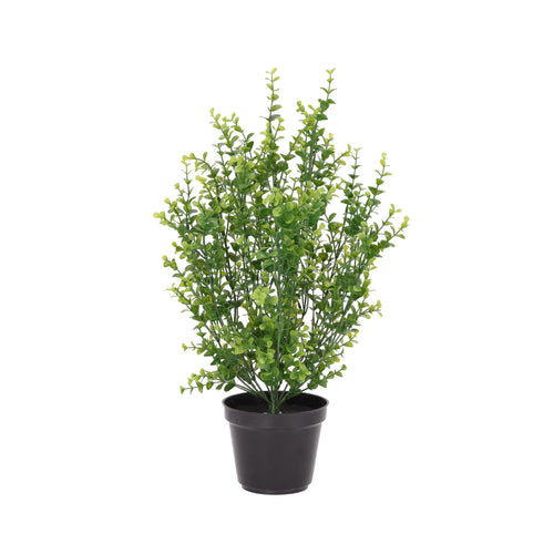 Maxifleur Buxus Kunstplant Groen 50cm in kweekpot 12cm
