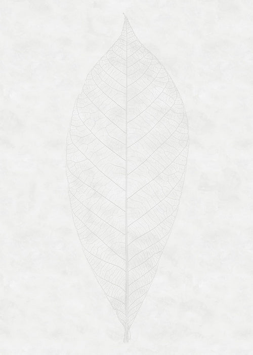 Sanders & Sanders fotobehang bladeren lichtgrijs - 200 x 280 cm - 612405 - vtwonen shop