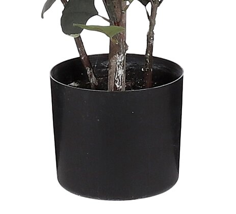 Mica Decorations Eucalyptus Kunstplant in Bloempot - H150 x Ø30 cm - Groen  - vtwonen shop