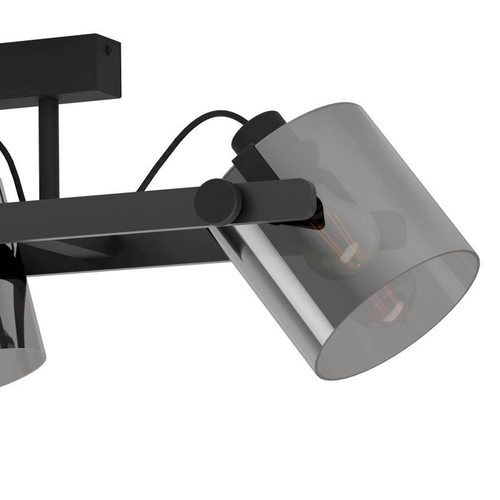 EGLO plafondlamp Hornwood 2 - e27 - 111 cm - zwart