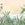 Sanders & Sanders fotobehang jungle-motief groen - 424 x 280 cm - 640778