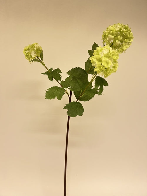 My Flowers.shop Groene sneeuwbal zijden bloem | Lengte 74 centimeter | Per stuk - vtwonen shop