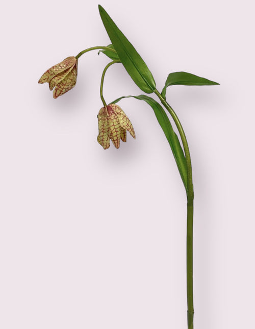 My Flowers.shop Groen paarse fritillaria zijden bloem | Lengte 50 centimeter | Per stuk - vtwonen shop